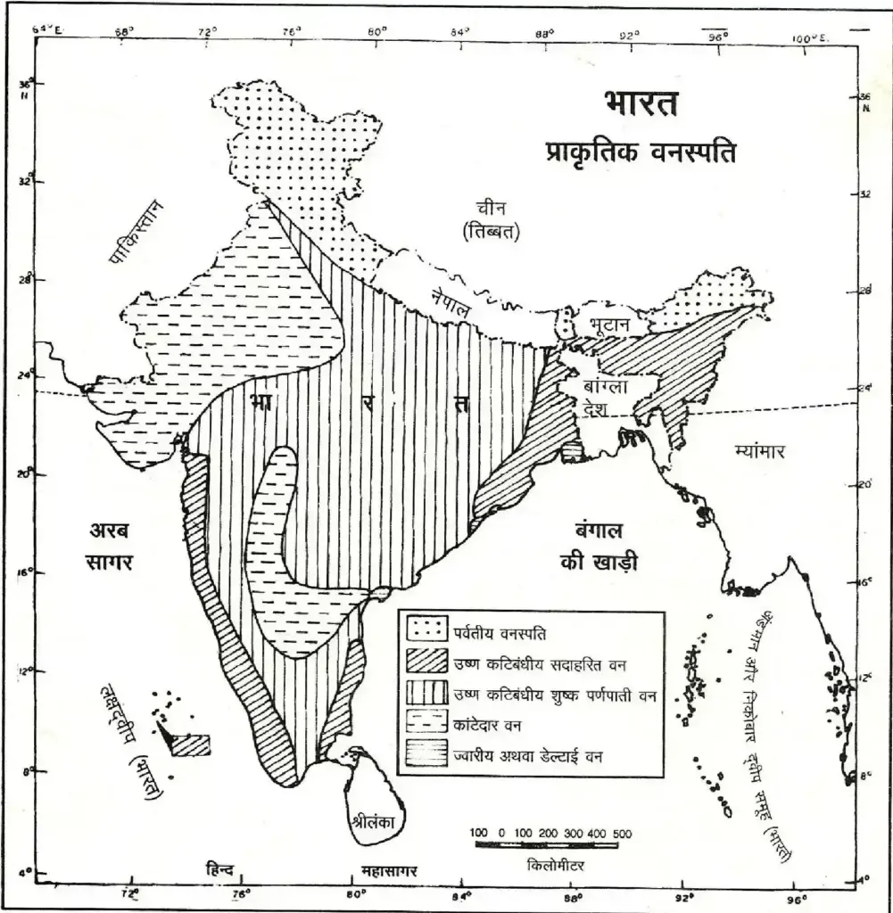 india natural vegetation » What Is A Natural Vegetation